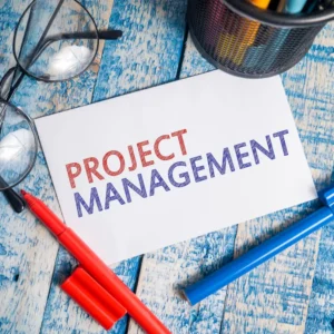 Project Management Software (Pro)